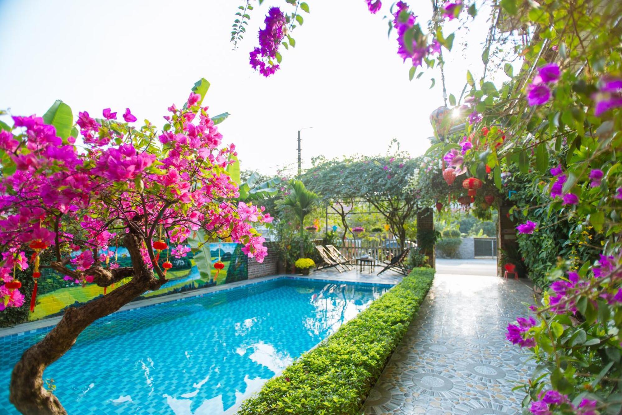 Tam Coc Viet Ha Homestay Ninh Binh Luaran gambar