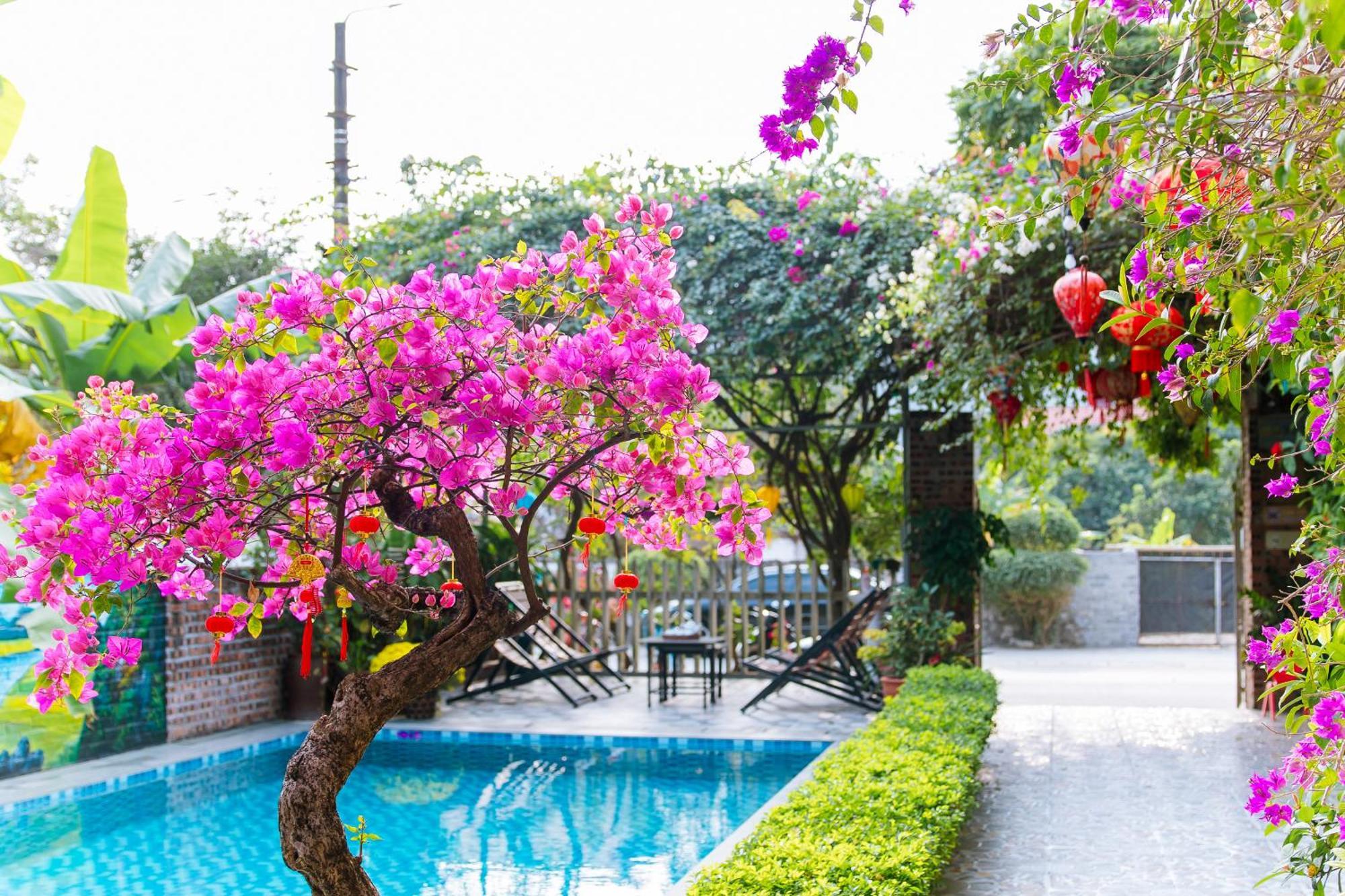 Tam Coc Viet Ha Homestay Ninh Binh Luaran gambar